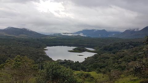 Mirador del palmar