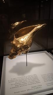 Museo del Oro