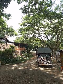 No caminho ao lado do Balneário