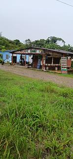 Obangu Cacao