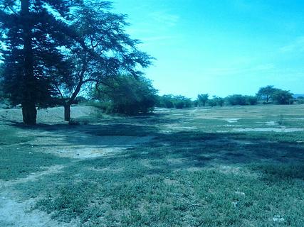 Ocucaje Soccer Field Camp
