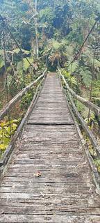 old bridge