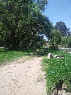 Orilla del Río