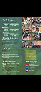 Pachacutec Bosque Andino