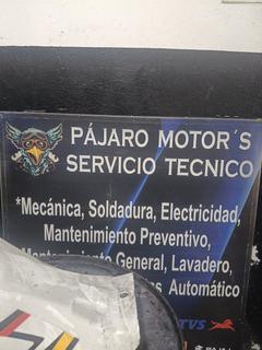 Pájaro motor