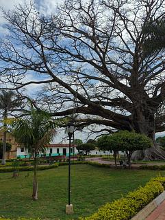 Palmar Plaza