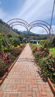 Paraíso Orquideario Los Corazones