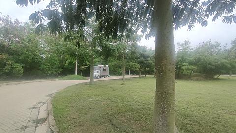 Parque