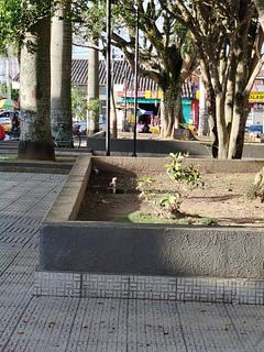 Parque de Chinacota