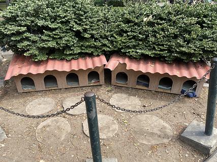 Parque para gatos