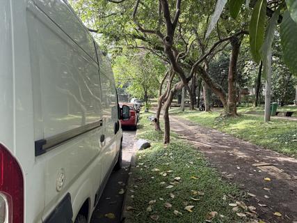 Parque Pinar del Rio