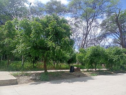 Parque Quiñonez