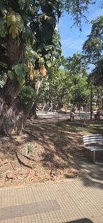 Parque San Pio