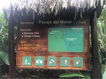 Pasaje del mono
