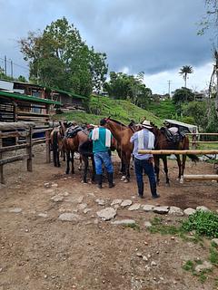 Passeio a Cavalo em Salento