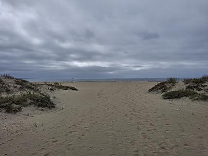 Perto da praia entre pequenas dunas