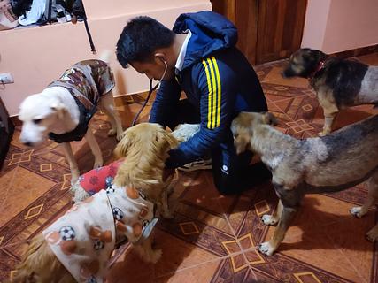 Pet World Dog Day Care