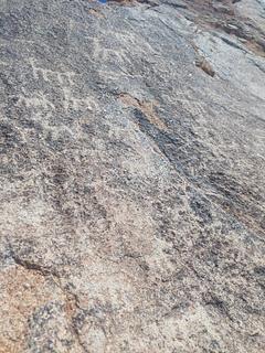 Piedra del guanaco