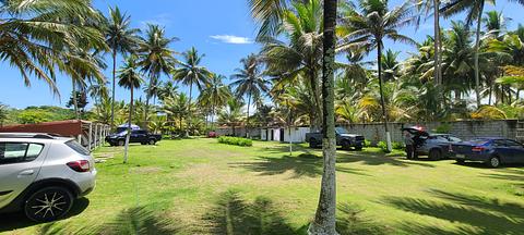Playa Dorada