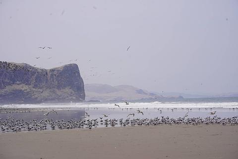 Playa Yaya