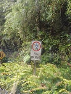 Ponte de 6 toneladas