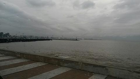 Puerto de Buceo