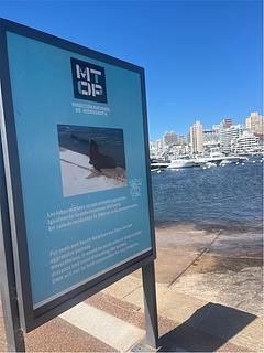 Puerto de Punta del Este