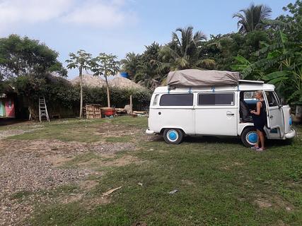 punto palmera