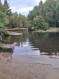 Refugio Borde Rio