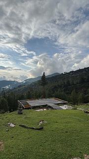 Reserva la floresta
