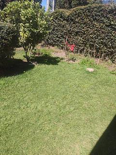 Río Frio Vereda Alcaparro
