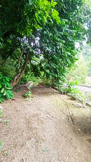 Riverside