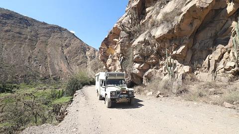 Routa du Cactus