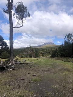 Ruínas, belas vistas, perto da água