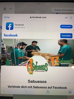 Sabuesos Veterinaria