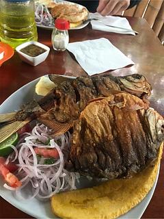 Sahuayco Las Palmeras