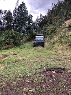 Saída tranquila entre campos