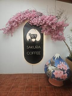 Sakura coffee