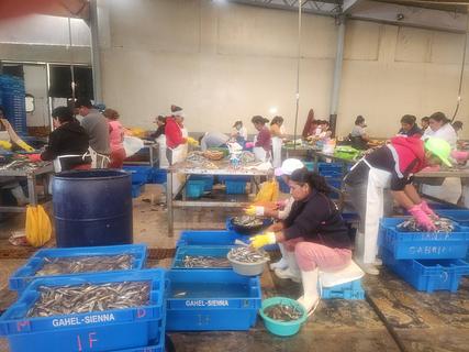 San Andres Fish Market