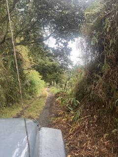 Sem estrada aqui