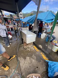 Tap in market