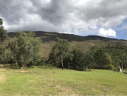 Terreno aberto, a uma curta caminhada do centro da cidade