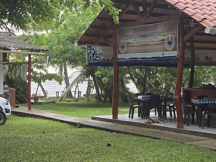 Tiki Lounge, Necocli