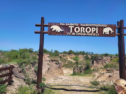 TOROPI