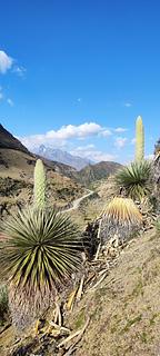 Travessia da Cordilheira de Vilcabamba