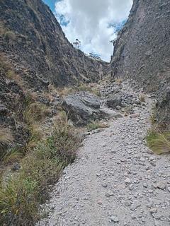 Trilha de Caminhada