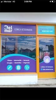 Veterinaria Del Mar