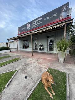 Veterinaria Mascotas