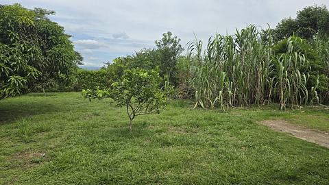 Villa Dulce