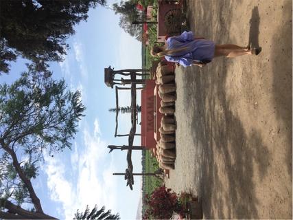 Viña Tacama Winery